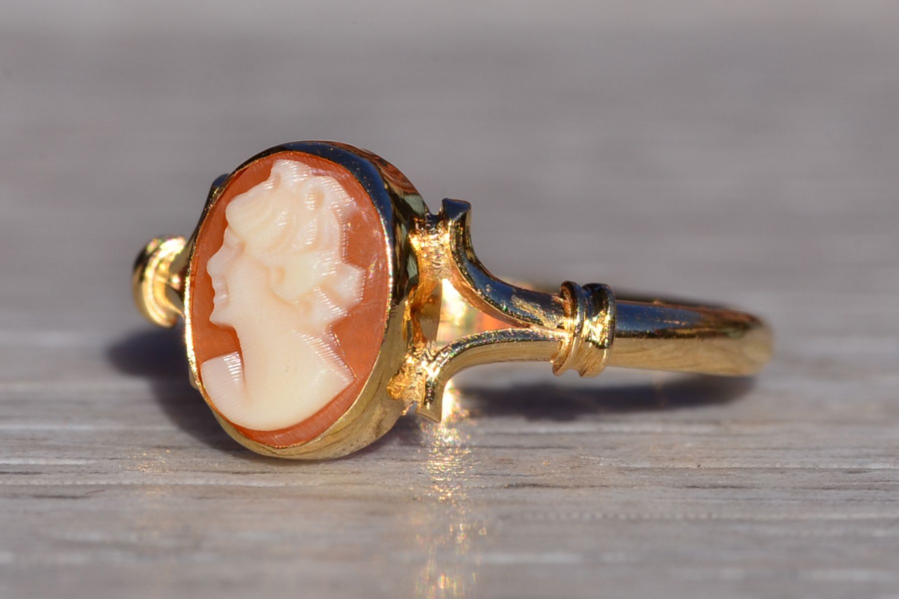 SOLD - The Camarga: Ladies 18K Yellow Gold Shell Cameo Ring - Image 3