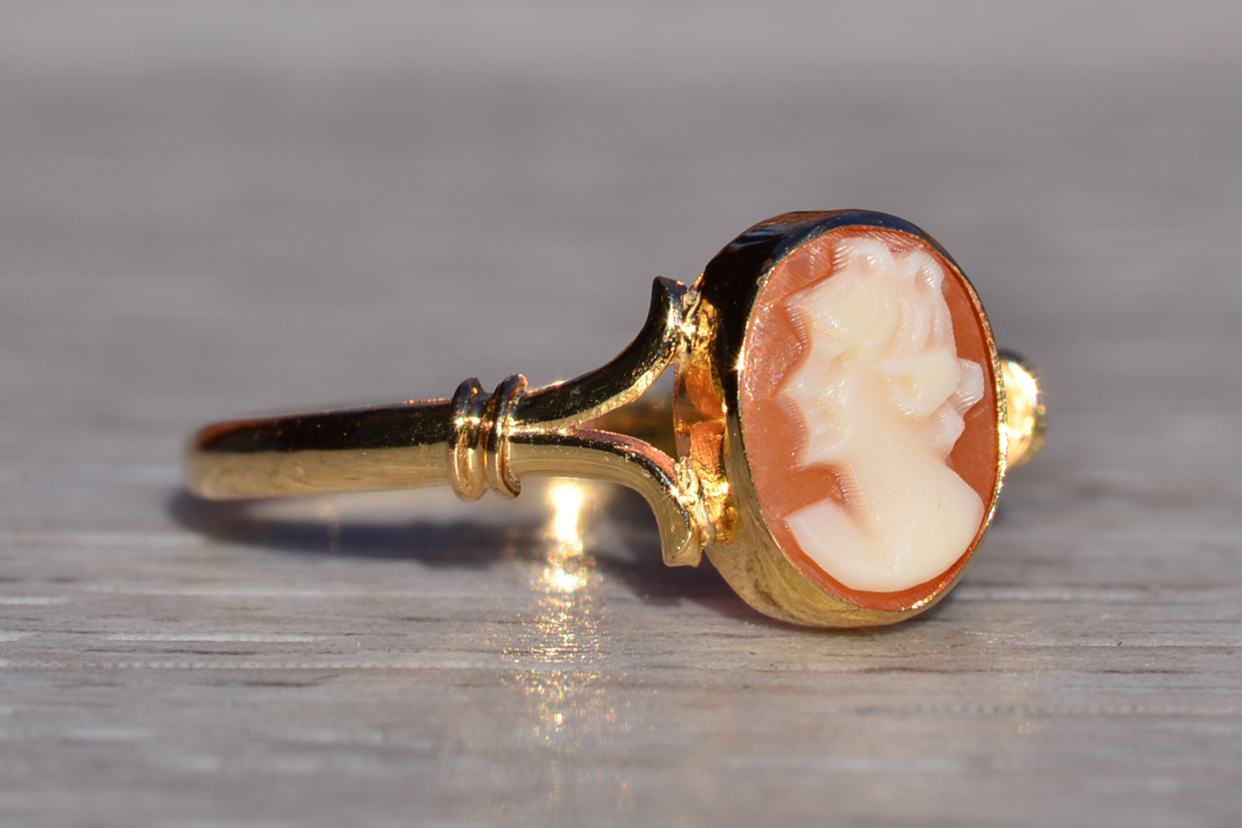 SOLD - The Camarga: Ladies 18K Yellow Gold Shell Cameo Ring - Image 6