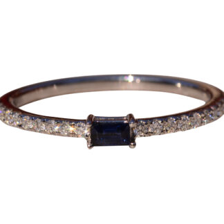 The Osprey Road: East to West Sapphire and Diamond Petite Band