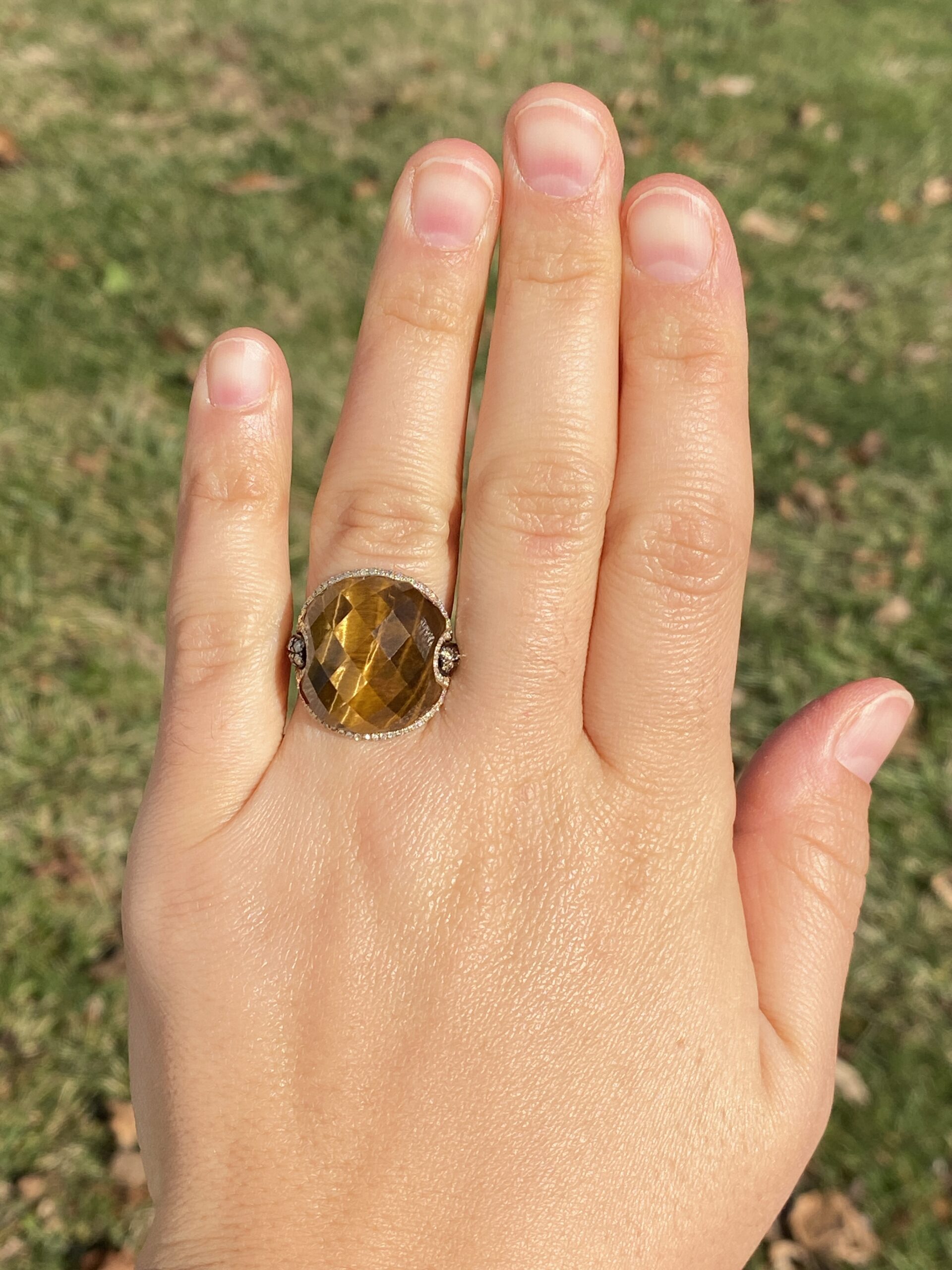 The 152nd Avenue: Checkerboard Cut Tigers Eye Quartz with Natural Diamonds - Image 8