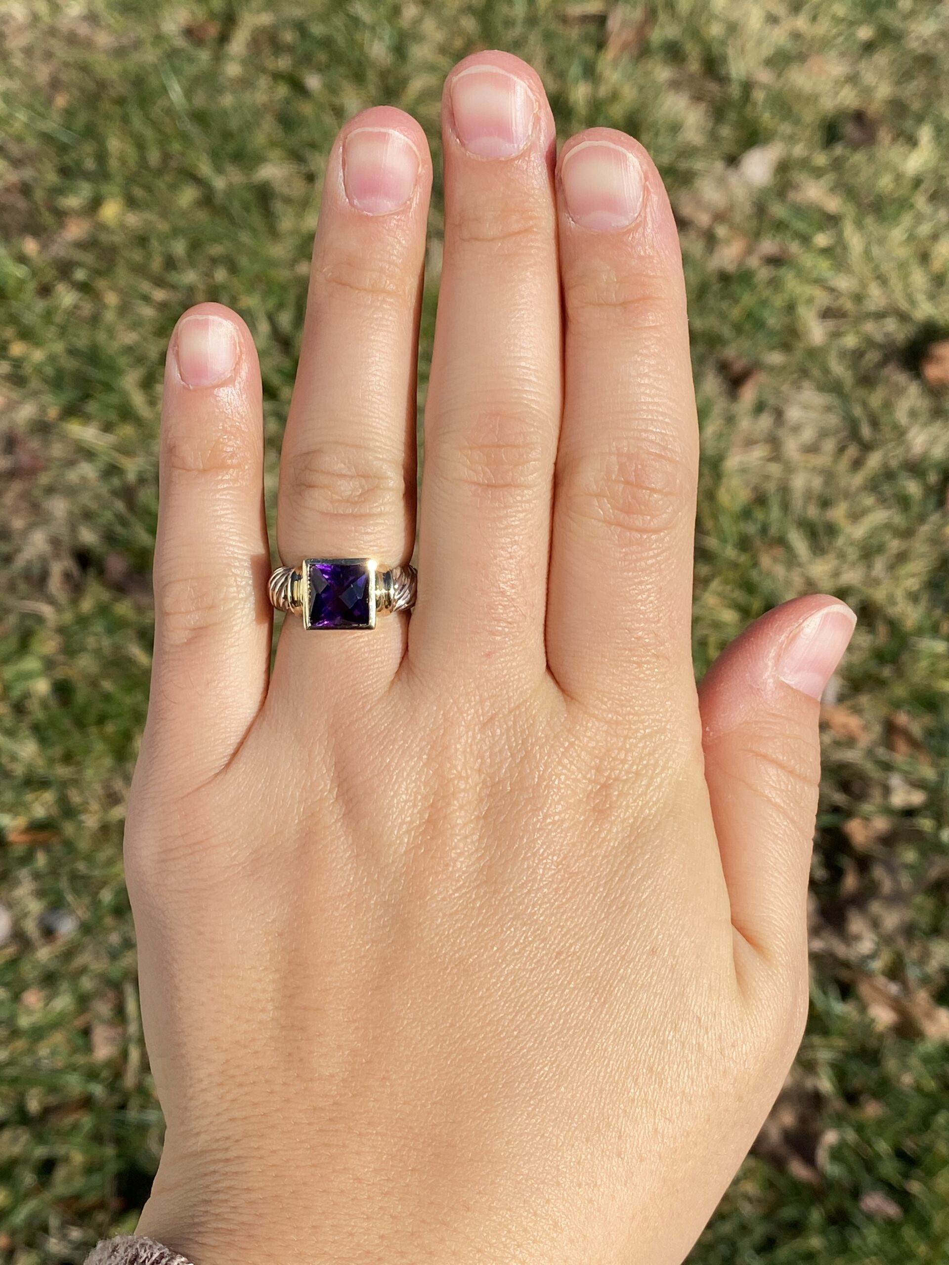 SOLD - The Mount Bear: David Yurman Signed Amethyst Ring in Yellow Gold and Sterling - Image 8