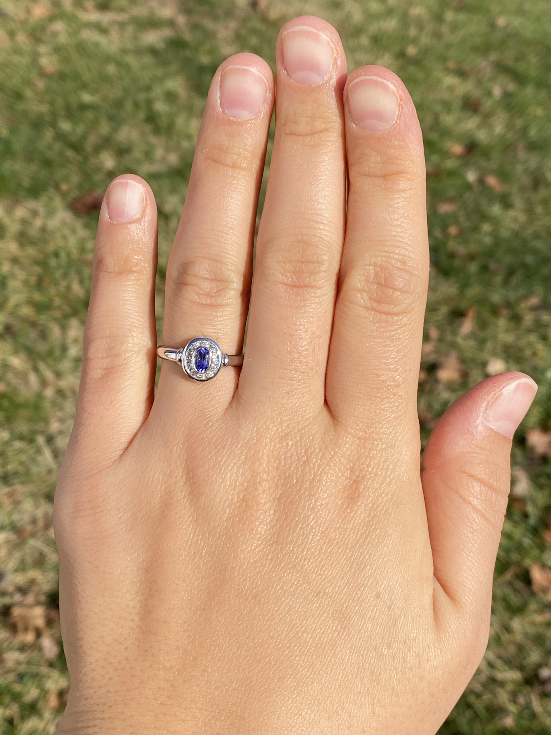SOLD - The Mount Hayes: Oval Tanzanite and Diamond Halo Ring in White Gold - Image 8