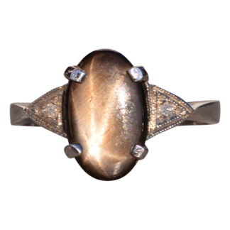 The Mad River: Black Star Sapphire and Natural Diamond Ring in White Gold