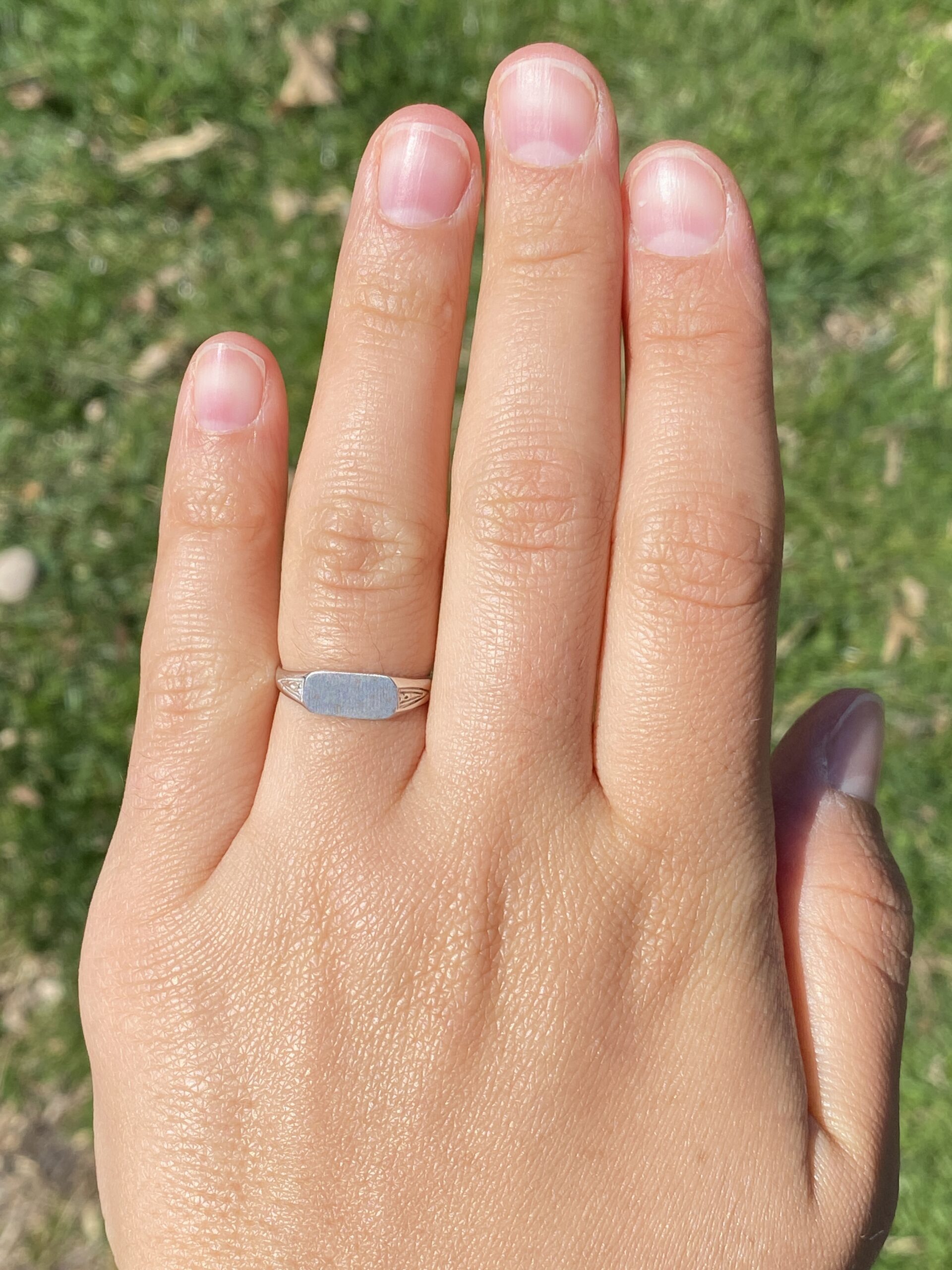 The Engraved Classic: Signet Ring in White Gold - Image 8