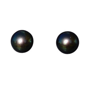 SOLD - Ladies 14K Yellow Gold Black Freshwater Pearl Earrings