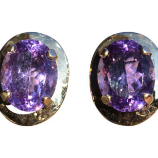 The Alnas:  Ladies 14K Yellow Gold Amethyst Stud Earrings