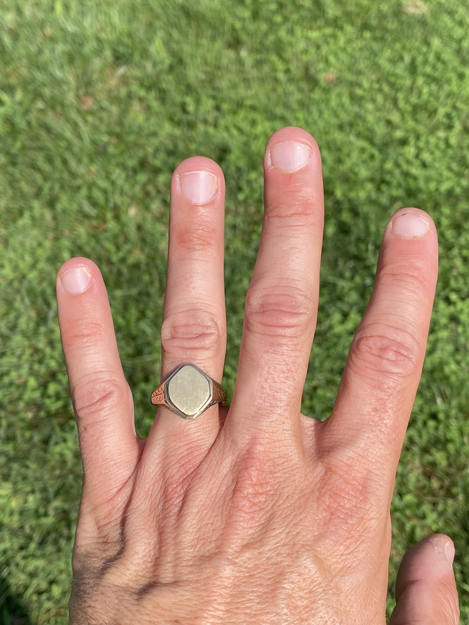 The Golden Crest: Men's Signet Ring in Yellow Gold - Image 7