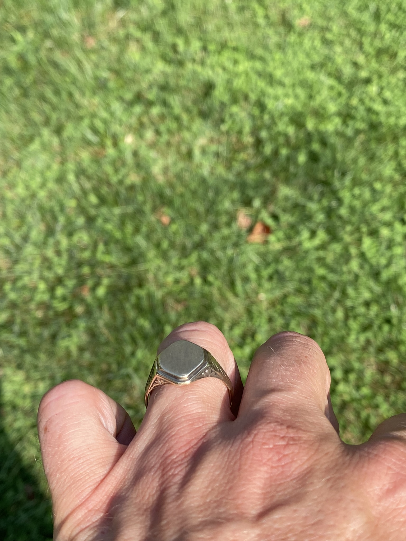 The Golden Crest: Men's Signet Ring in Yellow Gold - Image 8