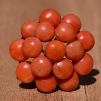 SOLD: The Lucida:  Victorian Coral Brooch
