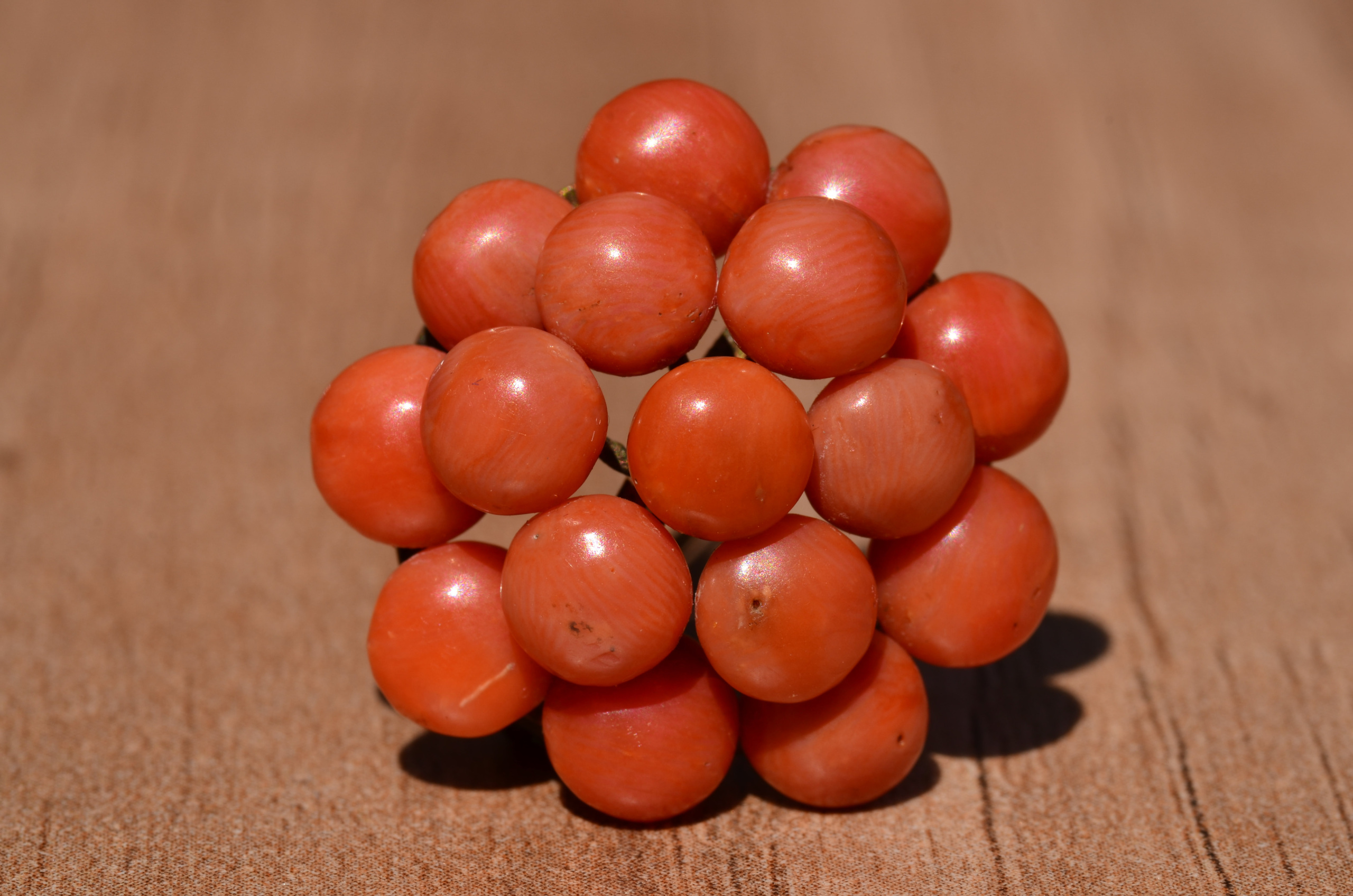 SOLD: The Lucida: Victorian Coral Brooch