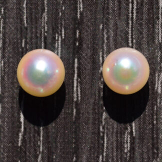 The Audubon:  Akoya Pearl Earrings in 14 Karat Yellow Gold